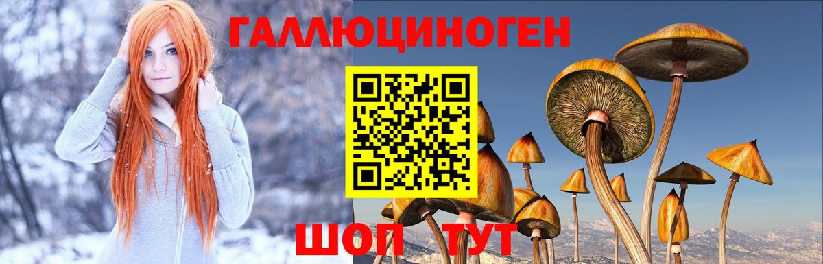 Галлюциногенные грибы ЛСД Карачаевск